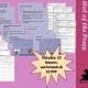 KS 2 Geography Food production and the obesity crisis
